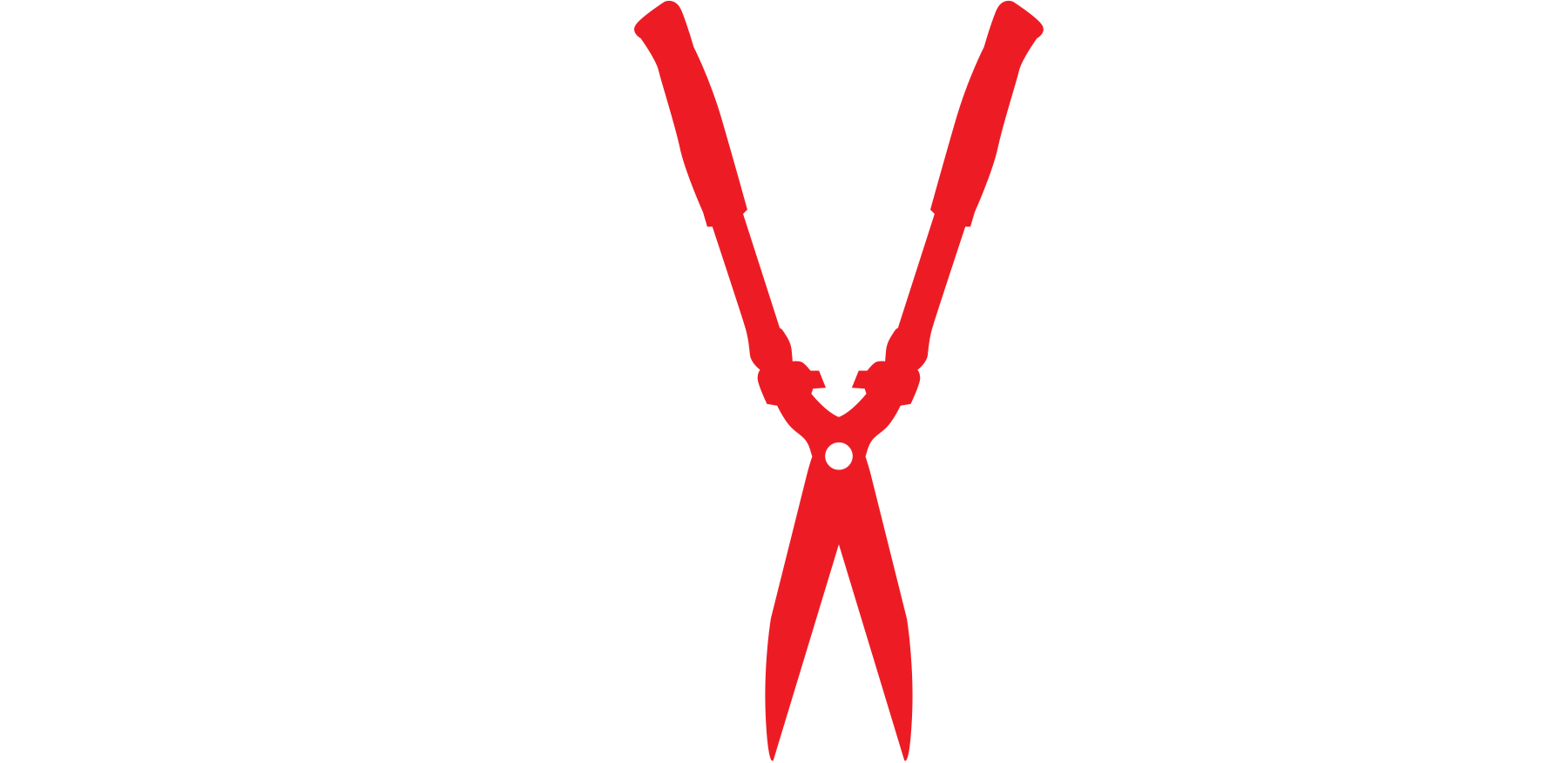 Mad Fox Films